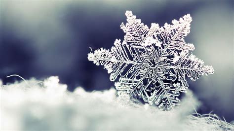 Istituto di Istruzione Superiore Lazzaro Spallanzani | Scuola di Montombraro chiusa per neve