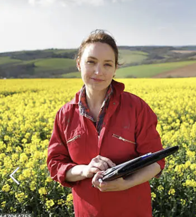 Istituto di Istruzione Superiore Lazzaro Spallanzani | NUOVO INDIRIZZO TECNICO 4+2 A VIGNOLA Istituto di Istruzione Superiore Lazzaro Spallanzani | NUOVO INDIRIZZO TECNICO 4+2 A VIGNOLA