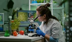 Istituto di Istruzione Superiore Lazzaro Spallanzani | Nuovo Tecnico Quadriennale 4+2 “Agricoltura e Biotrasfromazioni” Istituto di Istruzione Superiore Lazzaro Spallanzani | Nuovo Tecnico Quadriennale 4+2 “Agricoltura e Biotrasfromazioni”