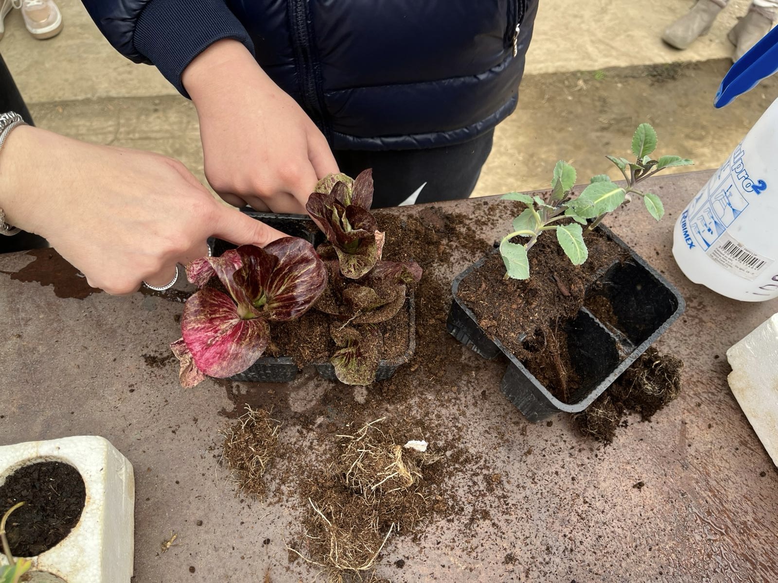 Istituto di Istruzione Superiore Lazzaro Spallanzani | Open day 14 dicembre 2025