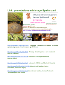 Istituto di Istruzione Superiore Lazzaro Spallanzani | MINISTAGE - SEDE DI CASTELFRANCO EMILIA. LINK PER LE PRENOTAZIONI